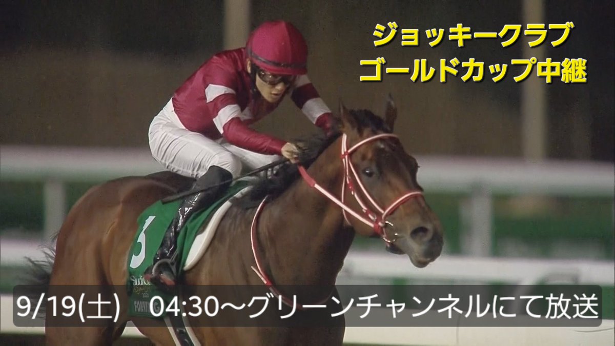 GreenChannel234's tweet photo. 9/19(土)04:30～グリーンチャンネル
フォーエバーヤングが出走予定のジョッキークラブゴールドカップをライブでお届けします🏇
朝早い時間ですが、ぜひご覧ください🙇‍♀️ https://t.co/OBQRwwAO00