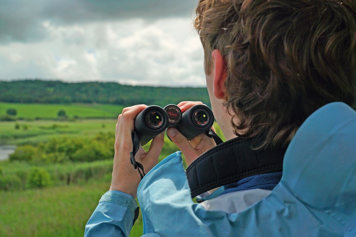 infocusOptics's tweet photo. The all new @KowaOptics  BDXD III is now in stock with all sizes available!

🔗purchase using the link in bio

📷@KowaOptics

#KowaOptics #binocualars #nature #birding #wildlife https://t.co/3Z6paldiRS