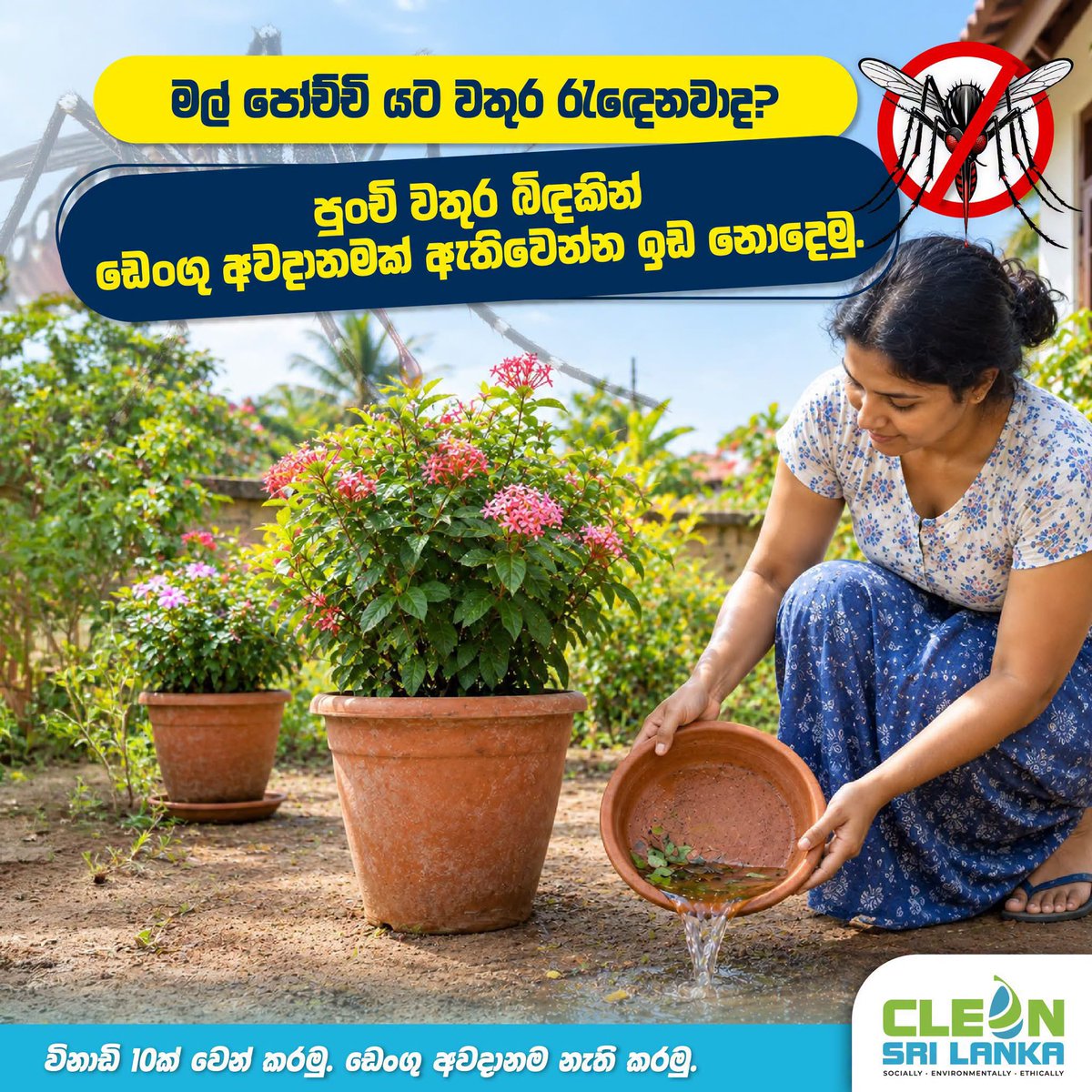 CleanSL2025's tweet photo. Let’s set aside 10 minutes... and eliminate the risk of Dengue! ⏰
Is water collecting under your flower pots? Let’s not allow even a tiny drop of water to create a risk of Dengue.
#CleanSriLanka https://t.co/UCkL0Av3Vy
