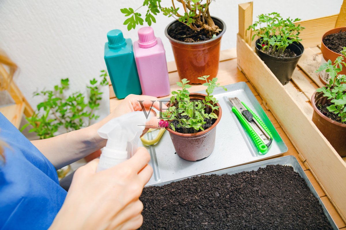 ambev012382's tweet photo. Looking for a cozy new hobby Try gardening! It’s calming, rewarding, and grows both pretty plants and your patience. Start with easy herbs like basil ， https://t.co/b0vahL4Lgu