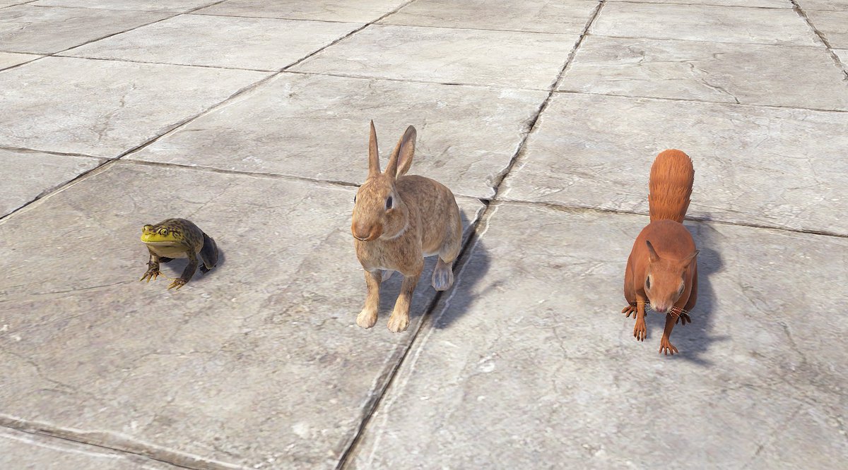 RustJapanWiki's tweet photo. 🐰 追加された動物 9/18時点 🐰
開発版RustのAUXベータにて新たな動物が追加されたので前回のとおさらいで現時点のを総まとめします

まず先に訂正を前回、ヤギと仔ヤギが追加とおっしゃいましたが、実際は羊と子羊でした。申し訳ありません。

現時点で追加されている動物は全部で10種類
・牛
・雄牛
・子牛
・子牛(雄)
・羊
・子羊
・カエル
・兎
・リス
・ウミガメ
が確認されております！
牛と羊については畜産として今後多くの用途に使われ、それ以外は今後、よりサバイバル感や雰囲気をより引き出す存在として実装されるかと思います！
