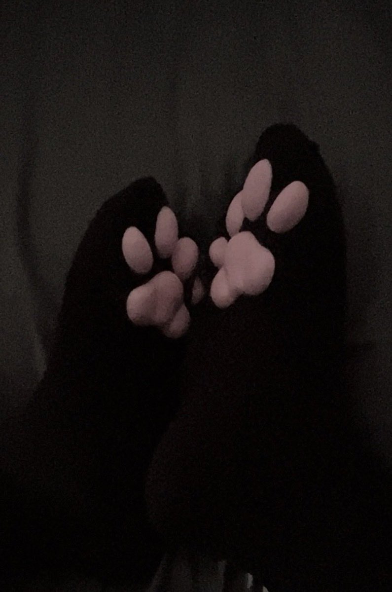 bunnikibble's tweet photo. play with mi (˶˃ ᵕ ˂˶) ! #feet #pawsocks https://t.co/Fohy6FYPlU