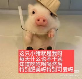 gouchengcc's tweet photo. @xuni958540 我也是m https://t.co/ybOeNQG1dk
