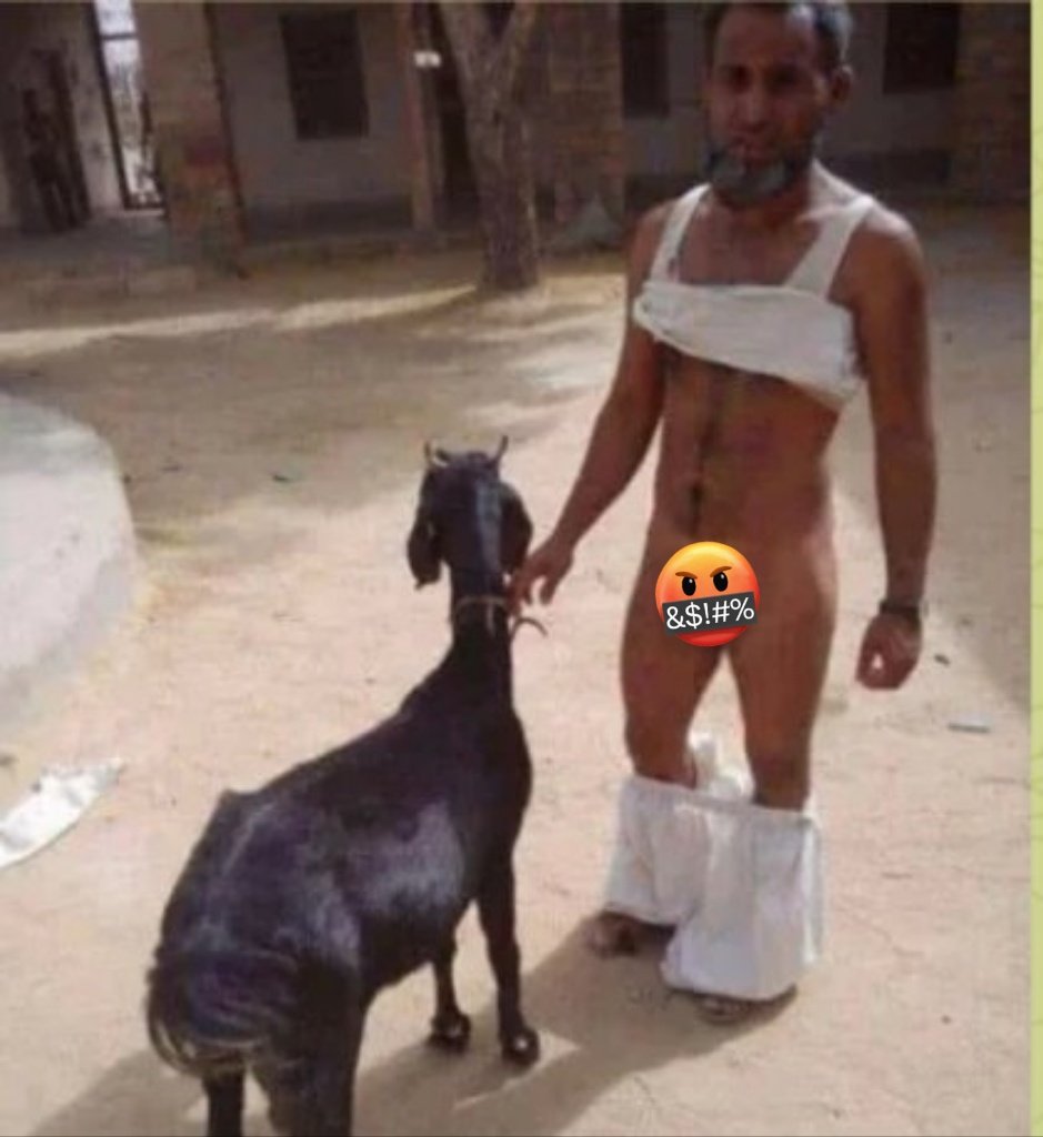 anamka14's tweet photo. @Trendingchutiy1 @thecutesouls @erbmjha Tera abbu Bakrikhod ke sath kyun hai? Amma halala ke liye nana jaan ke paas gyi ya dada jaam hai? Oh wait, dono ek hi hai..mamu hi abbu hai🤣🤣 https://t.co/wCFP9M7jGl