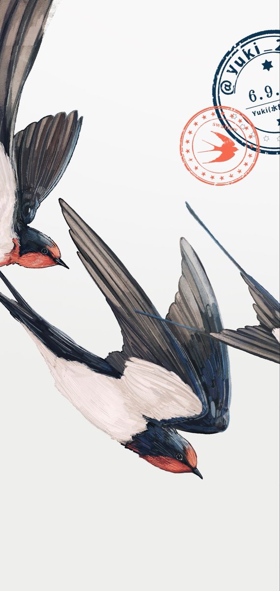 yuki_2602's tweet photo. swallow https://t.co/yjvdYDIJv7