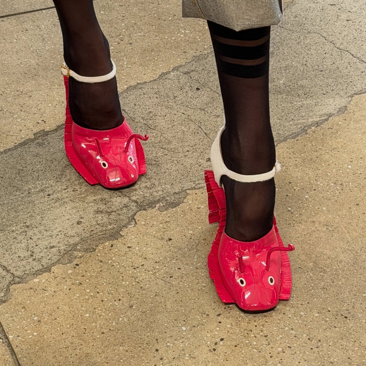 streetsouk's tweet photo. Thom Browne SS27 Women's.🐛 https://t.co/rI1HYdQUEp