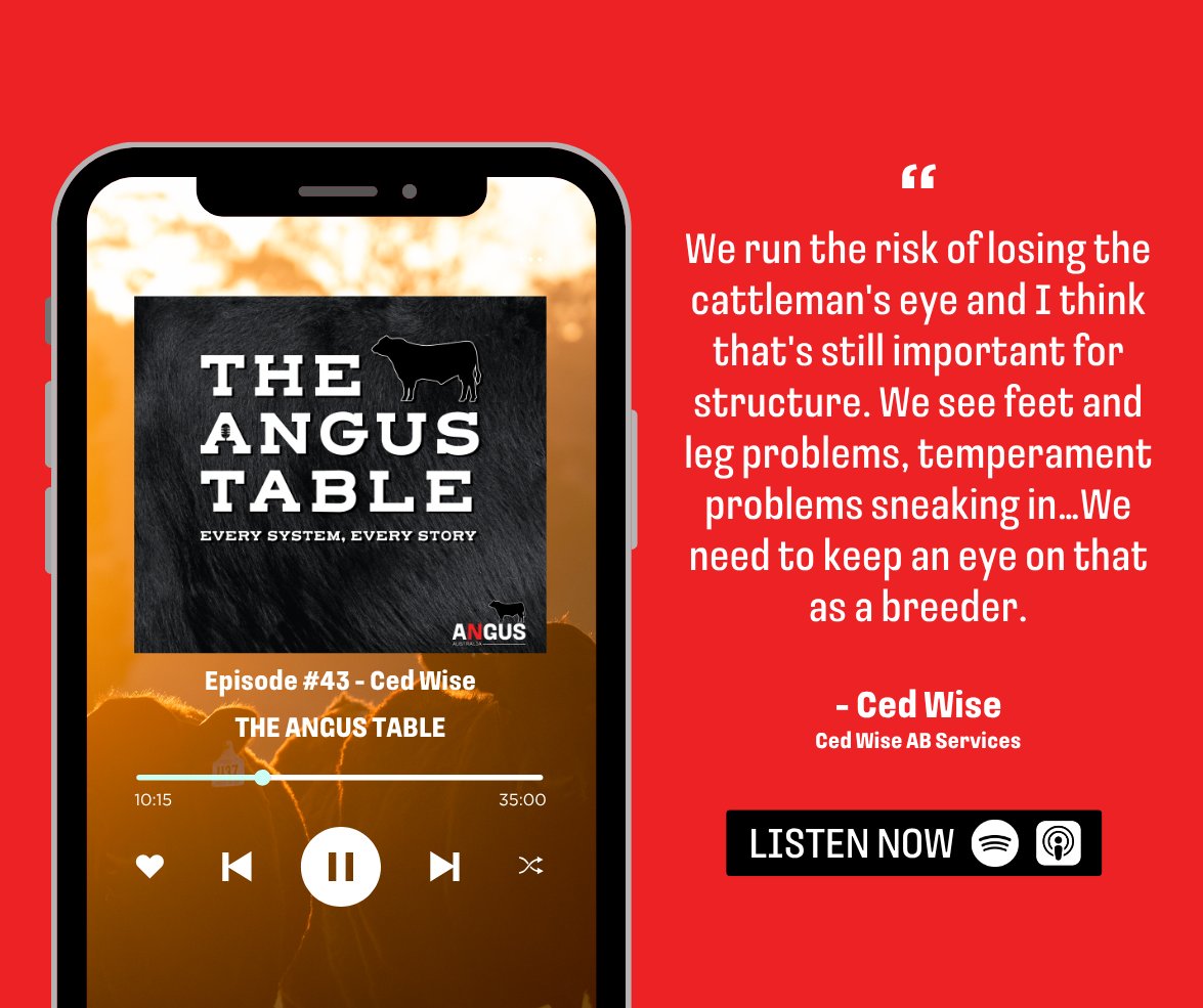 angusaustralia's tweet photo. 🎧 𝗛𝗮𝘃𝗲 𝘆𝗼𝘂 𝗵𝗲𝗮𝗿𝗱 𝗖𝗲𝗱 𝗪𝗶𝘀𝗲'𝘀 𝟱𝟬-𝘆𝗿 𝗿𝗲𝗽𝗿𝗼𝗱𝘂𝗰𝘁𝗶𝘃𝗲 𝗶𝗻𝗻𝗼𝘃𝗮𝘁𝗶𝗼𝗻 𝘀𝘁𝗼𝗿𝘆 𝘆𝗲𝘁?
Essential for commercial and stud producers

Listen wherever you get your podcasts
#angus #angusaustralia #theangustable #cattle #blackangus #epigenetics https://t.co/XuccMHybaE