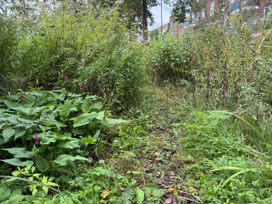 rinibiemans's tweet photo. Knippen, scheren, maaien en grazen… differentiëren naar een mooi herfstbeeld naar en voluptueus lentebeeld straks #park1943 #naardekapper #biocrow #iederseizoenanders https://t.co/WnHoUzu3ug