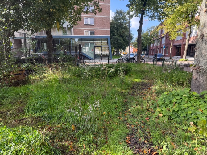 rinibiemans's tweet photo. Knippen, scheren, maaien en grazen… differentiëren naar een mooi herfstbeeld naar en voluptueus lentebeeld straks #park1943 #naardekapper #biocrow #iederseizoenanders https://t.co/WnHoUzu3ug