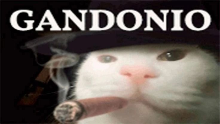 we3k1nd's tweet photo. До конца рабочего дня ещё 5 часов. Я сейчас стрелять начну https://t.co/YAQV3bABgT