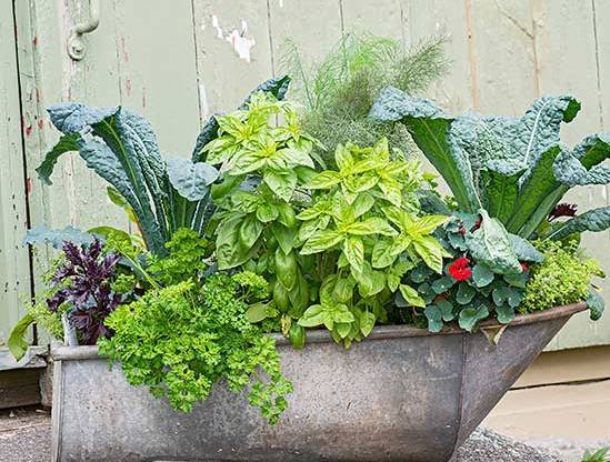 alerh259366's tweet photo. Turned an old mason jar into a chic planter with twine! Upcycling at its finest ， https://t.co/whoGwLkfI3