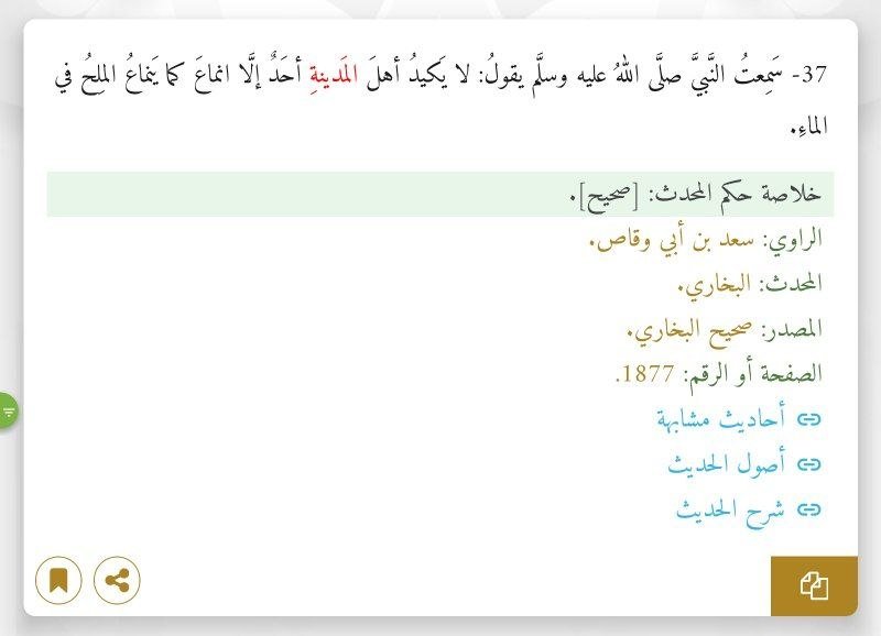 itsok_1122's tweet photo. #المدينة_المنورة https://t.co/q9wM0nFLYu