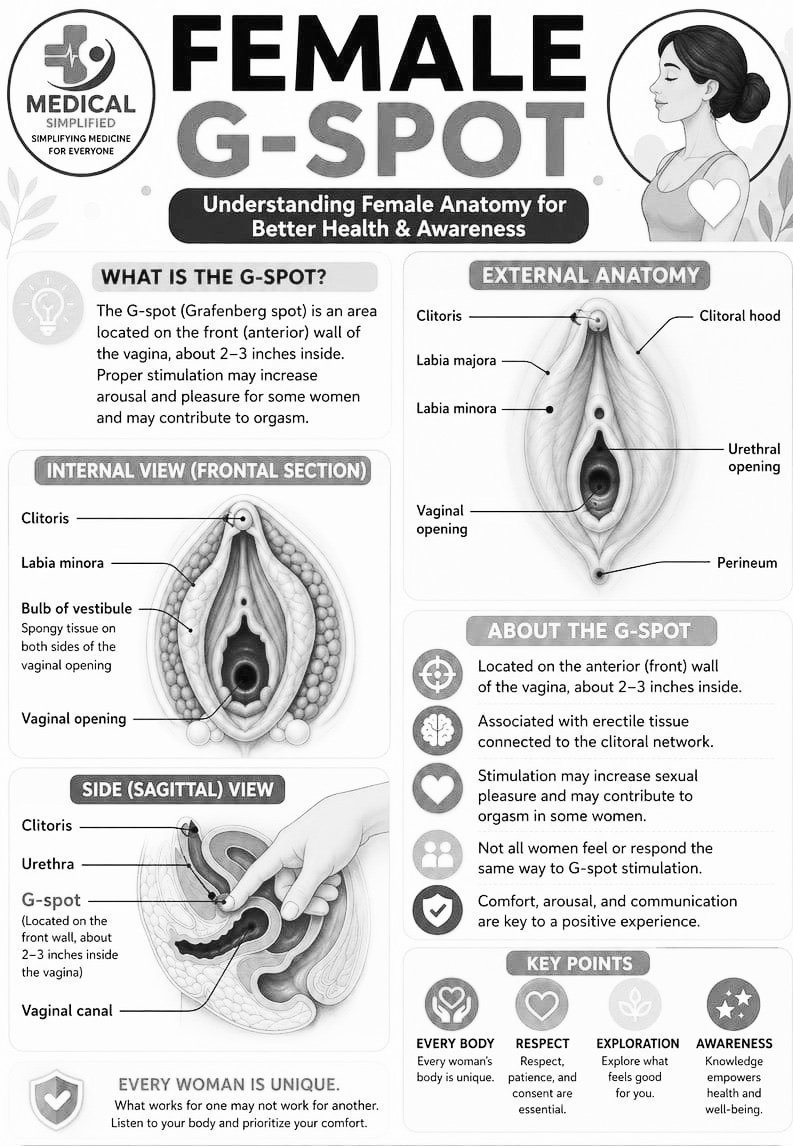 TUBAt0's tweet photo. Learn the female anatomy !! https://t.co/Z1iQ0Qy7Zy