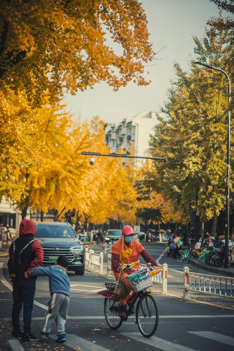 tillm980942's tweet photo. [Random sidewalk shot: autumn leaves swirling past a street food cart’s warm glow. Quick, vivid street vibes.]， https://t.co/8syaYv2ASL