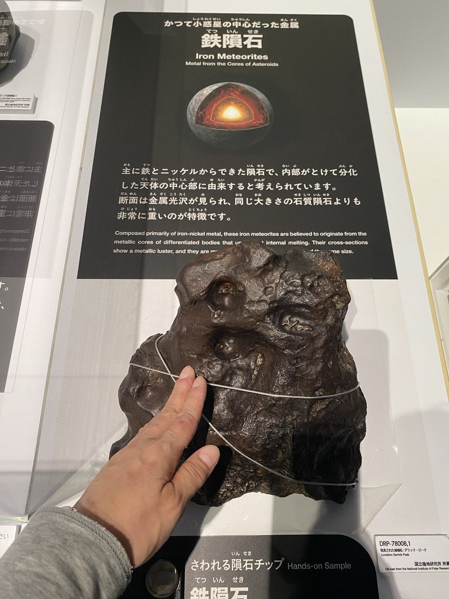 fumipolepole's tweet photo. 大南極展の展示にいろいろ触れてみた。ペンギンのフリッパーが固い。打ちどころ悪かったら骨いきそう。 https://t.co/VrsNyK7p2h