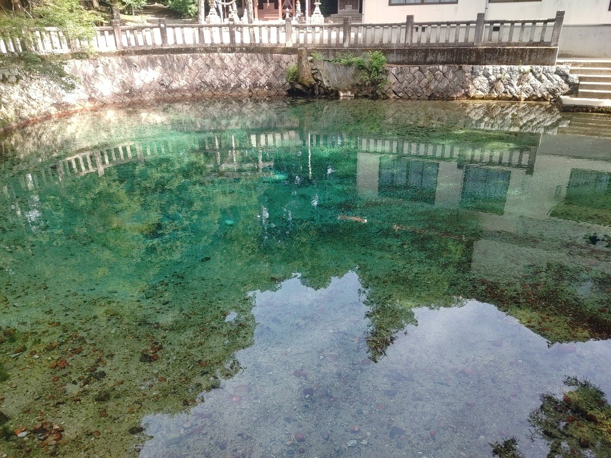 timee47r's tweet photo. 別府弁天池【山口県】
夏と冬 https://t.co/rKuVXU6dr1