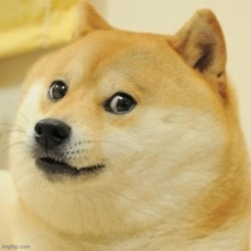 Winify tweet picture