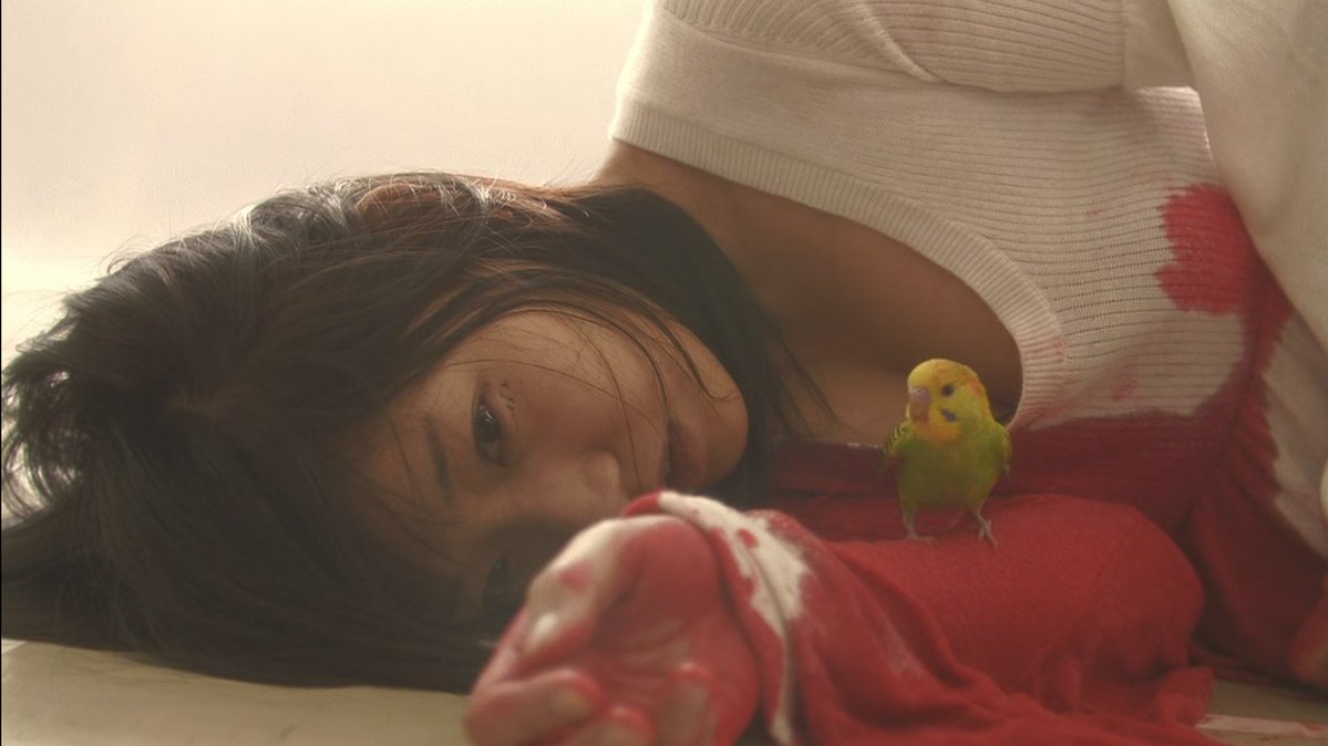 elorae_ra's tweet photo. Love Exposure (2008) || Dir. Sion Sono https://t.co/wfCJrQVyl5