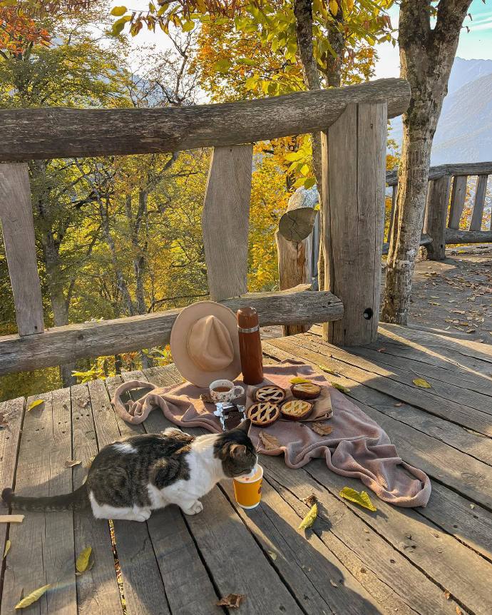 mopso660102's tweet photo. Woke up to misty mountains, warm coffee, and silence—this is the best kind of reset. #CampVibes， https://t.co/6dlAYAP9gP