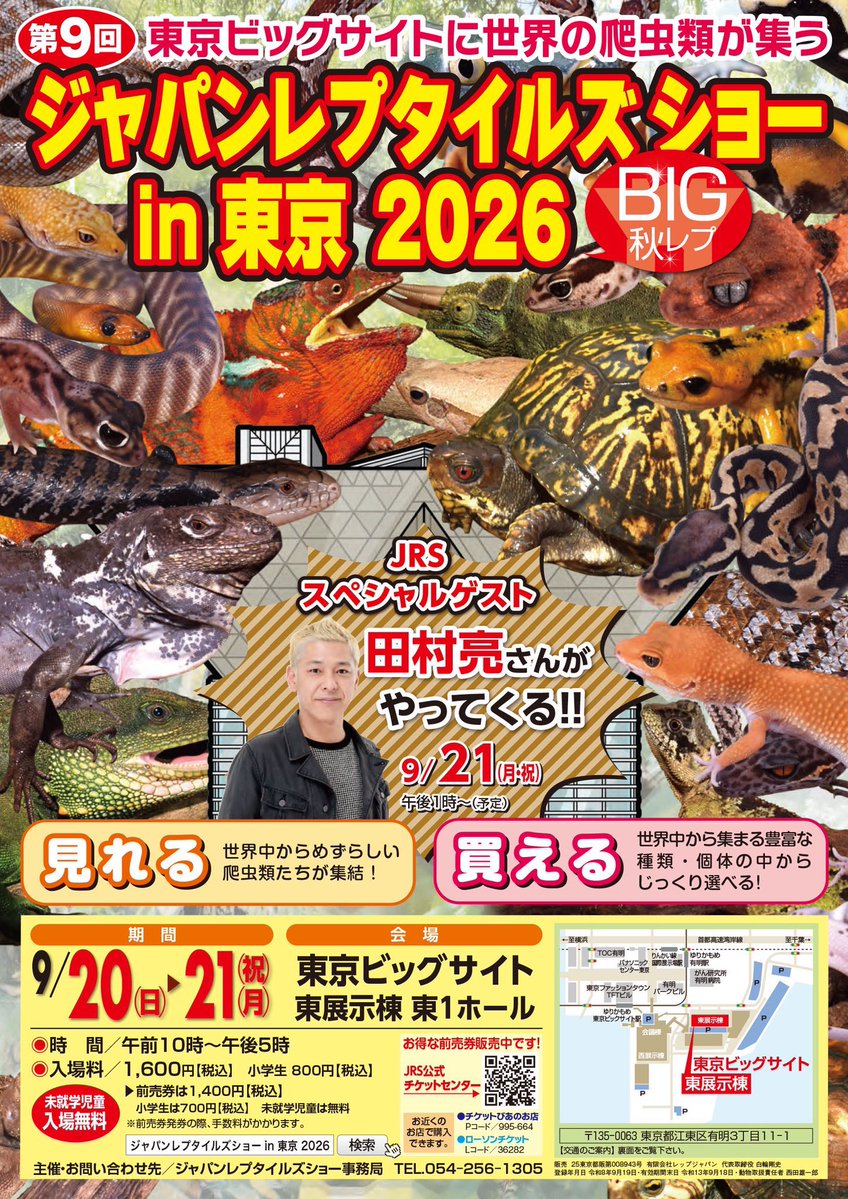 LINX_Sapporo's tweet photo. 9/20（日）〜21（月）は
東京ビッグサイトで行われる
BIGレプに出展いたします‼️

LINXは24番ブースになります。
こだわりのレオパを中心にクレス、ニシアフ、ハスオビビロードヤモリ、モニリスビロードヤモリを連れて行きます🦎
#JRS #BIGレプ　#ジャパンレプタイルズショー　#爬虫類ショップLINX https://t.co/Xly56MiYsi