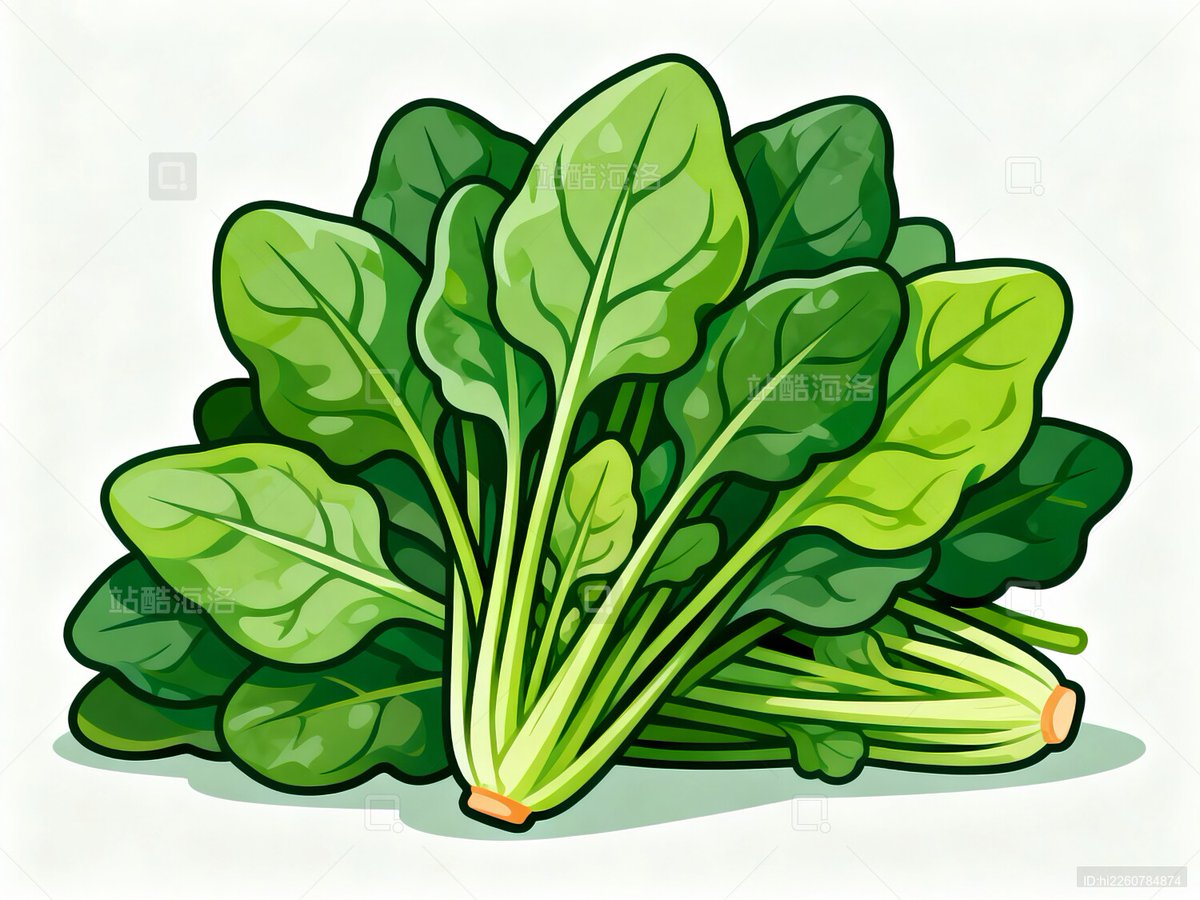 guils034163's tweet photo. Just tried the new organic baby spinach from local farm! Crisp, vibrant green, packed with sweet earthy flavor—perfect for smoothies or salads. No bitterness at all. 10/10 would buy again!， https://t.co/mbdWZSy1N1