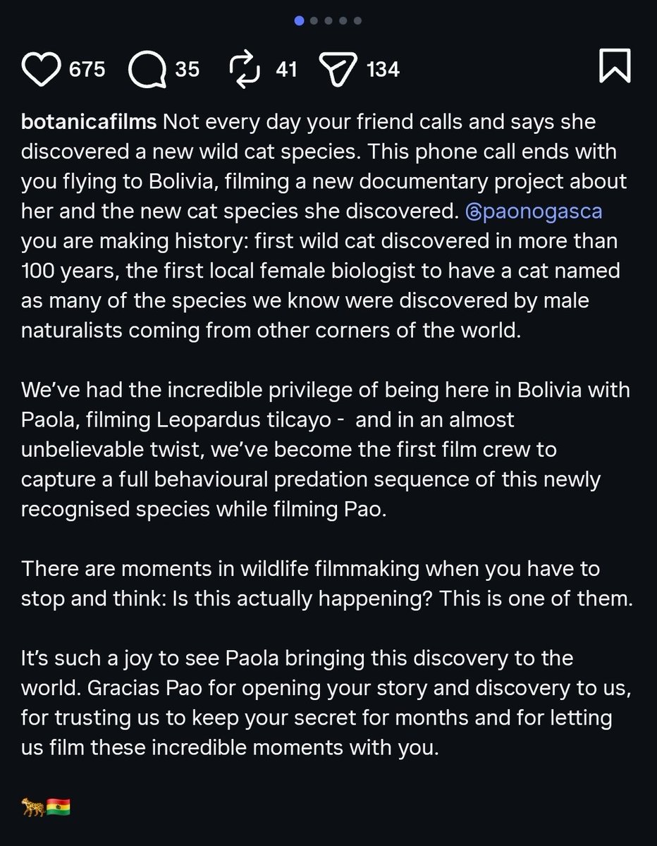 eltoronchain's tweet photo. Tigrino was discovered by Pao nogales ascarrunz @Paonogalesa.  Everybody is giving her praise about the discovery and filming she did. She is the main person behind the new cat species. You can check her instagram posts too

https://t.co/2wNONJM8vL https://t.co/1CG4IIsc7l
