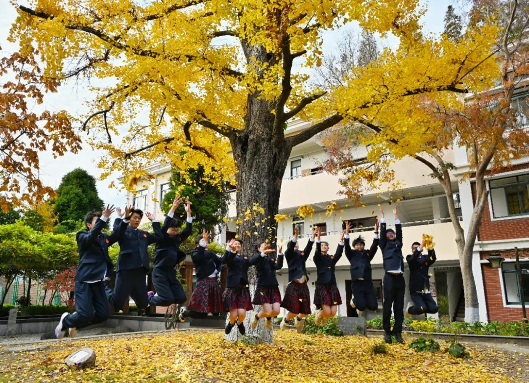 luckk018242's tweet photo. Our Photography Club’s Autumn Campus Shoot went perfectly yesterday! Captured golden ginkgoes, warm sunset glow u0026 happy club members. Next session: Nov 18, sign up via our link! https://t.co/mVsZJDZGH1