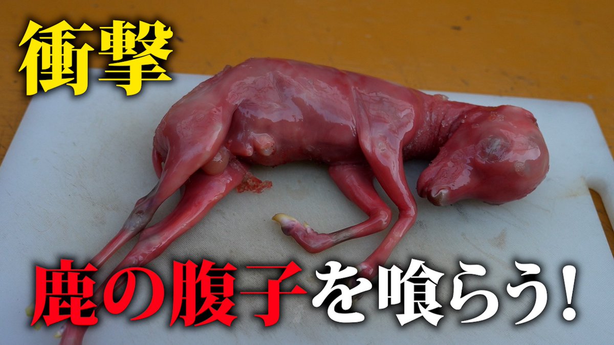 fukutommmmmy's tweet photo. 閲覧注意かも
腹子のためだけに母鹿を捕らえて捌いて捨てちゃうような国もあるみたいです。

考えさせられました。 https://t.co/D4QfaCMjSS