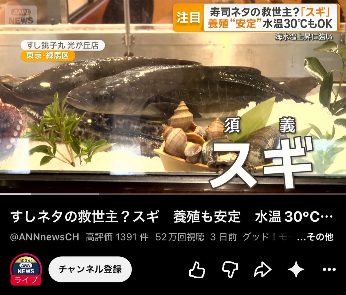 Echan_Lost's tweet photo. 寿司になっただけで日本を救った 彼にはこの称号が相応しい "魚の王" FISH KING! FISH KING! FISH KING! FISH KING! https://t.co/X8y3WR0Dgh