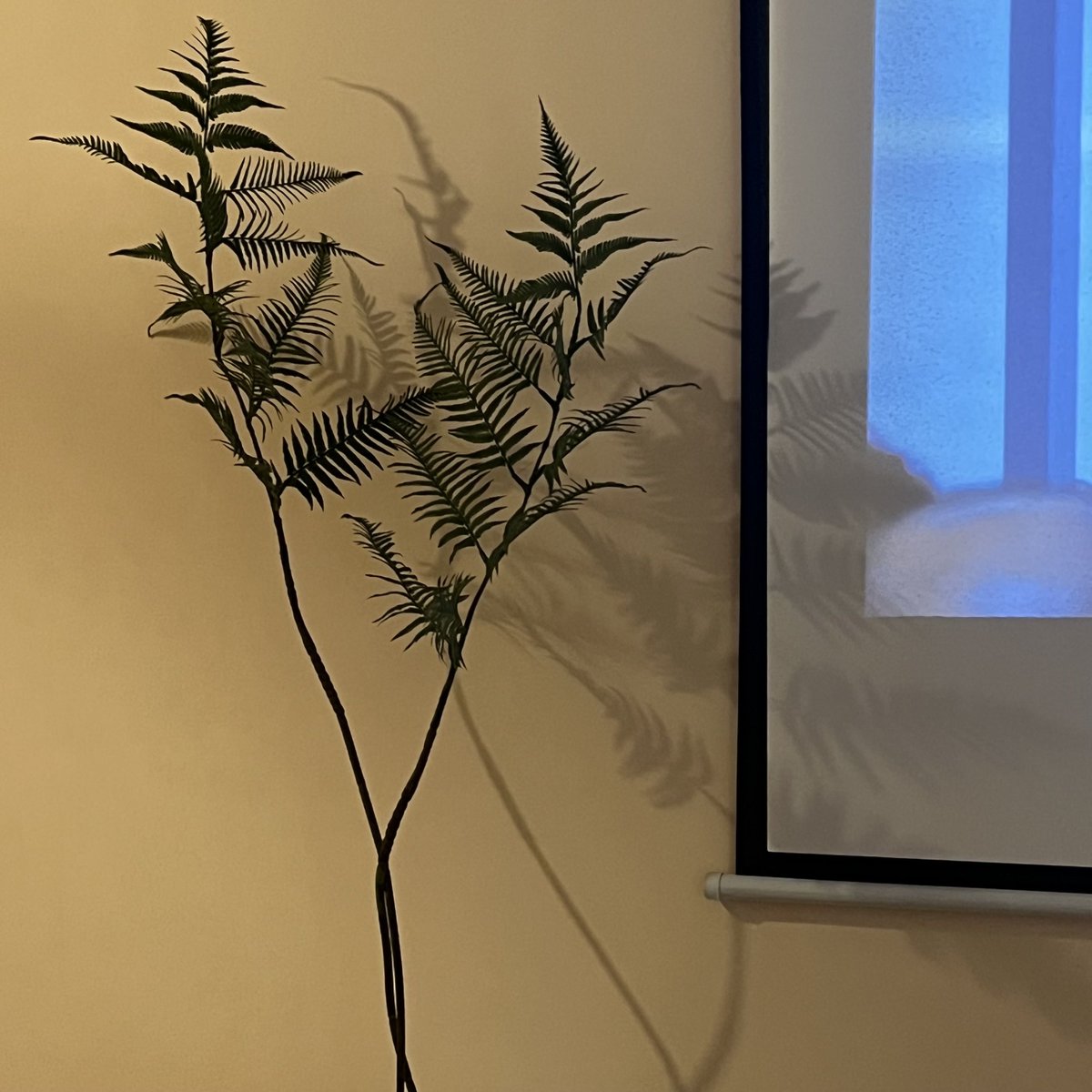 milkb910245's tweet photo. Just finished this cute handcrafted macramé plant hanger—perfect for sprucing up my small apartment with green vibes!  What’s your go-to DIY project lately https://t.co/zy8tS2pDwz