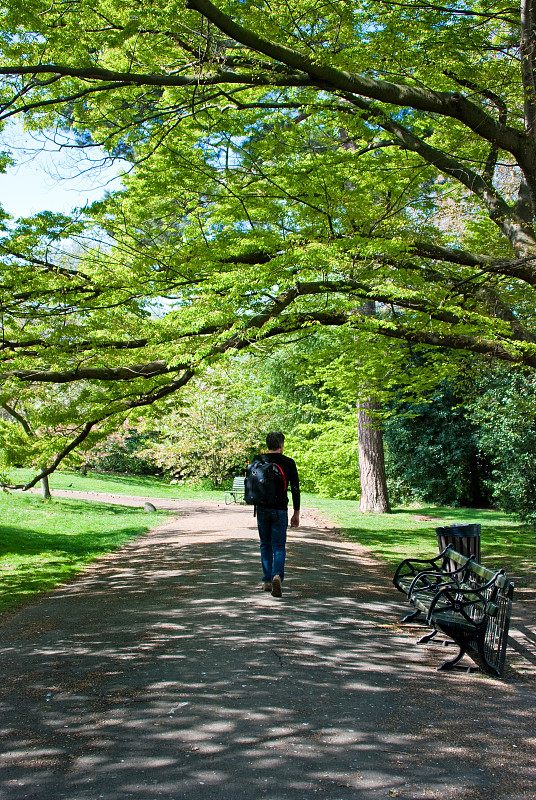 ElvaBohnenezvz's tweet photo. Hoy el sol brilla fuerte, la primavera trae aire fresco y ganas de caminar por el parque. https://t.co/Vl5UoAxTYk