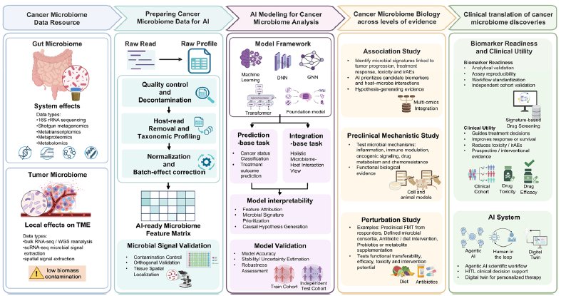 OhioStatePIIO's tweet photo. How can #AI help unlock the cancer microbiome? 🧬🤖
A new review in @GenomeBiology from #PIIO members Drs. @QinMaBMBL, @anjunma90 & collaborators explores how #multiomics and AI can uncover #cancer_microbiome interactions and help translate these discoveries toward #biomarkers, therapeutic strategies, and #precision_oncology.
https://t.co/4xlFrdBml8