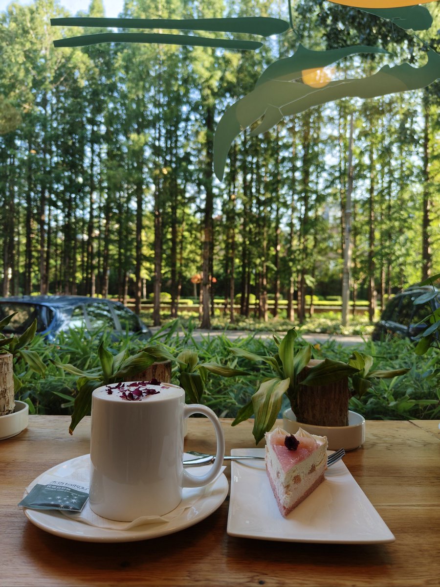 TammeraRomaq4's tweet photo. Ruta matutina por el parque central, café fresco incluido, perfecta para empezar el día. https://t.co/Pu77HznWih