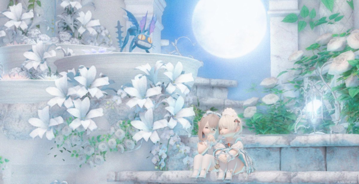 neusqn's tweet photo. ひごちゃんと遊んだよ♩
水色がとても似合っててかわいいの( ᵒ̴̶̷̤◦ᵒ̴̶̷̤ )♡
たくさん雑談して楽しかった.ᐟ.ᐟまた遊ぼうね🫶🏻︎ https://t.co/bDmhteADL2