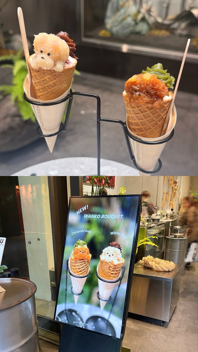 m04l9en's tweet photo. (THISIS)SHIZEN / 新風館
ワンちゃんのアイス🐾🍨可愛すぎたしとっても美味だった🤍⟡.· https://t.co/TERP1xTUM1