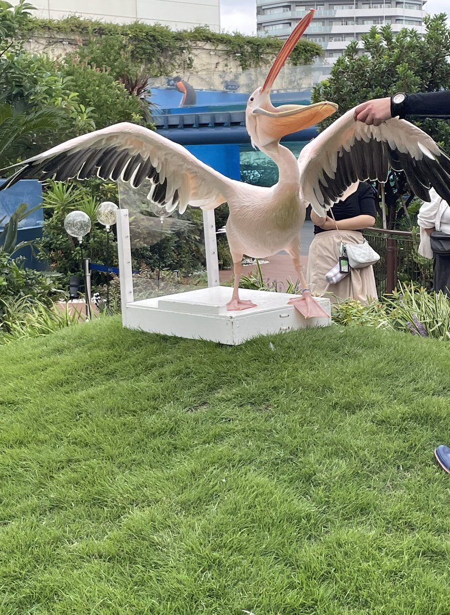 igka1t's tweet photo. あと今日のお出掛��！
久しぶりにいっぱい歩いた🏃‍♂️ https://t.co/1ups1AIJsm