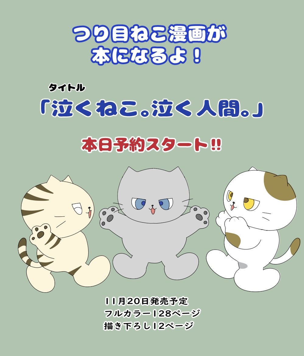 fukojasmine's tweet photo. 【🐈書籍化のお知らせ🐈】

これまでXで描いてきた「つり目ねこ」の漫画が、皆様のおかげで本になります！

Amazonでご予約開始しました✨
https://t.co/RpzqdOx5JV

『泣くねこ。泣く人間。』
KADOKAWA様より

表紙カバーは近日公開！すごく可愛いのでお楽しみに🥰 https://t.co/d227PoQmof
