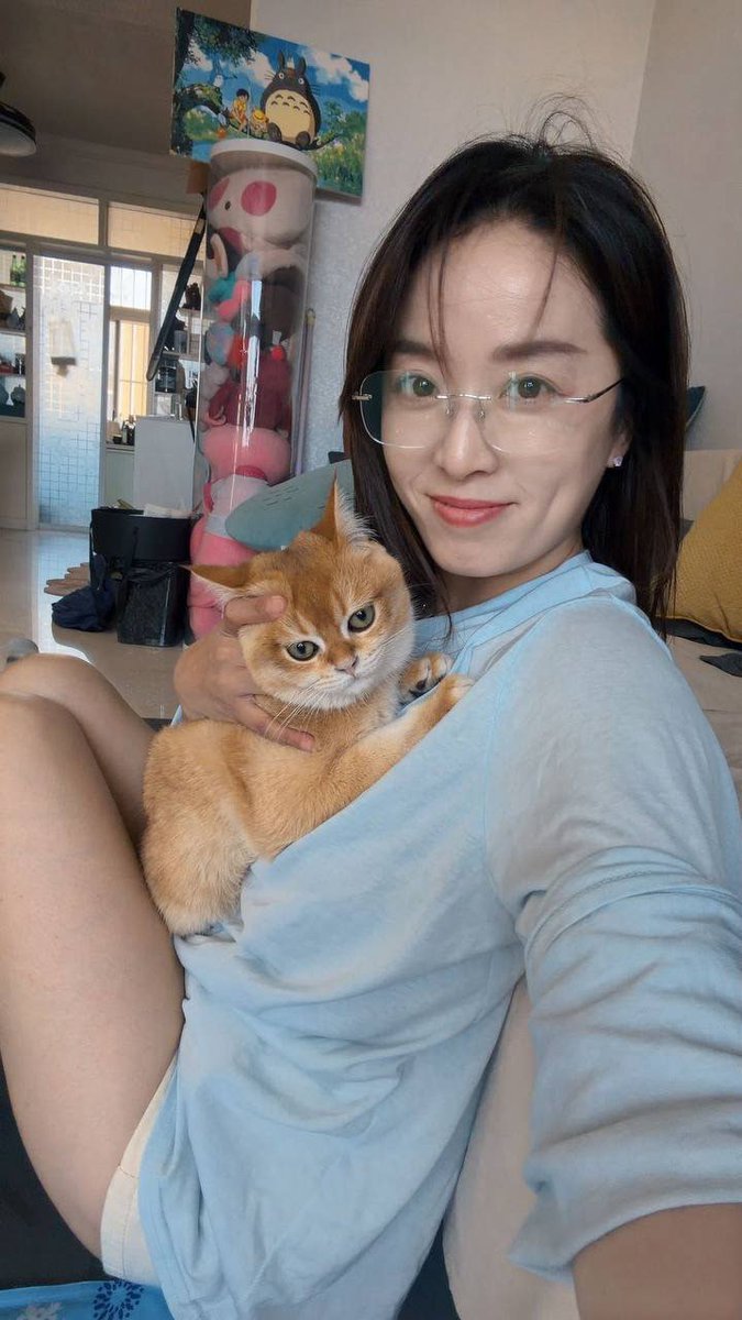 Matheus77333757's tweet photo. 满身疲惫，在抱起猫的那一秒全碎了 https://t.co/6Ewjx88PRM