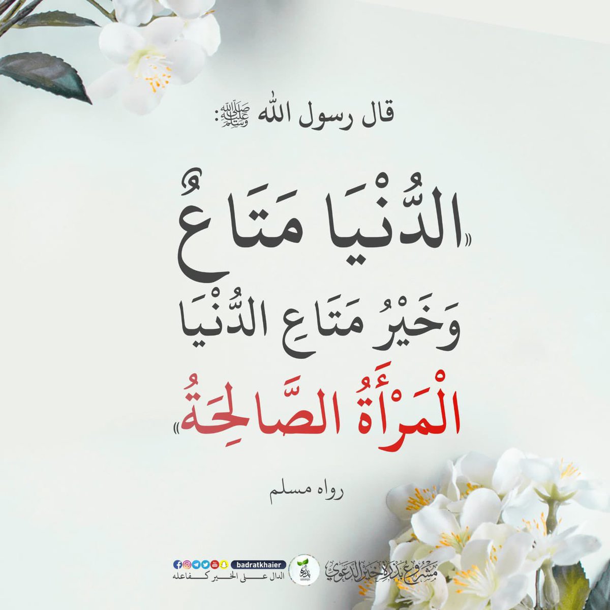 abuyaser7150's tweet photo. https://t.co/HGTQQQclbH