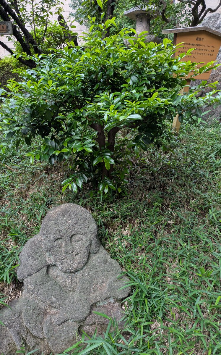 79790211boc's tweet photo. 椿山荘 https://t.co/Ka6Hjo7CEm