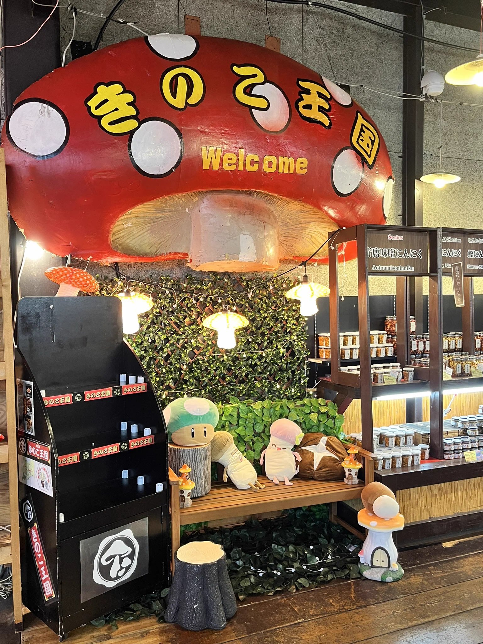 きのこ王国本店［公式］ on X: 