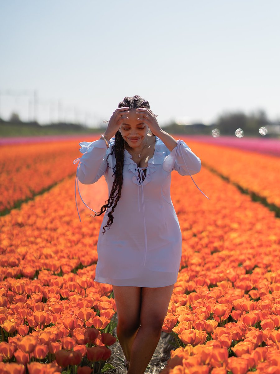 MarciaTemoby's tweet photo. more from the tulip fields 🌞 https://t.co/TnLmTt0D87