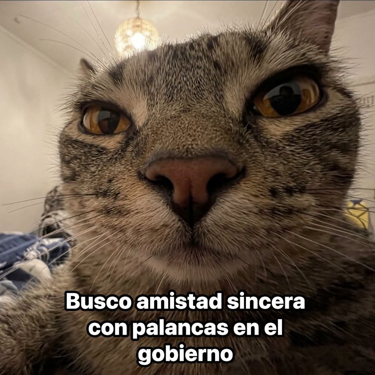 Mantequilla90's tweet photo. https://t.co/8apIGRps5C
