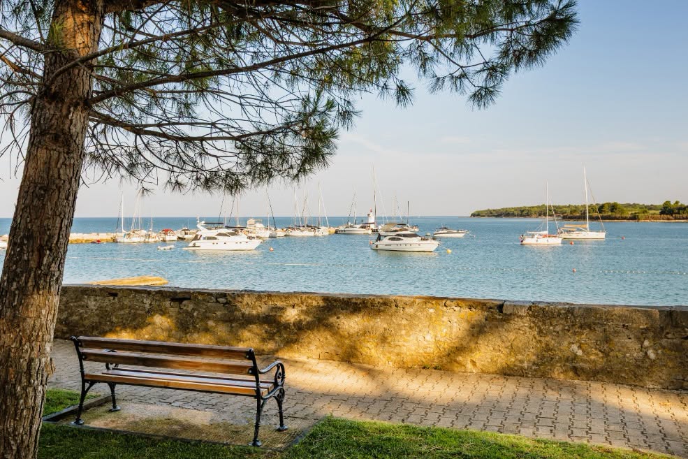 ColoursofIstria's tweet photo. Pause for a moment and enjoy the endless beauty of #Novigrad’s sea. 🌊☀ https://t.co/jAti4dTooM
