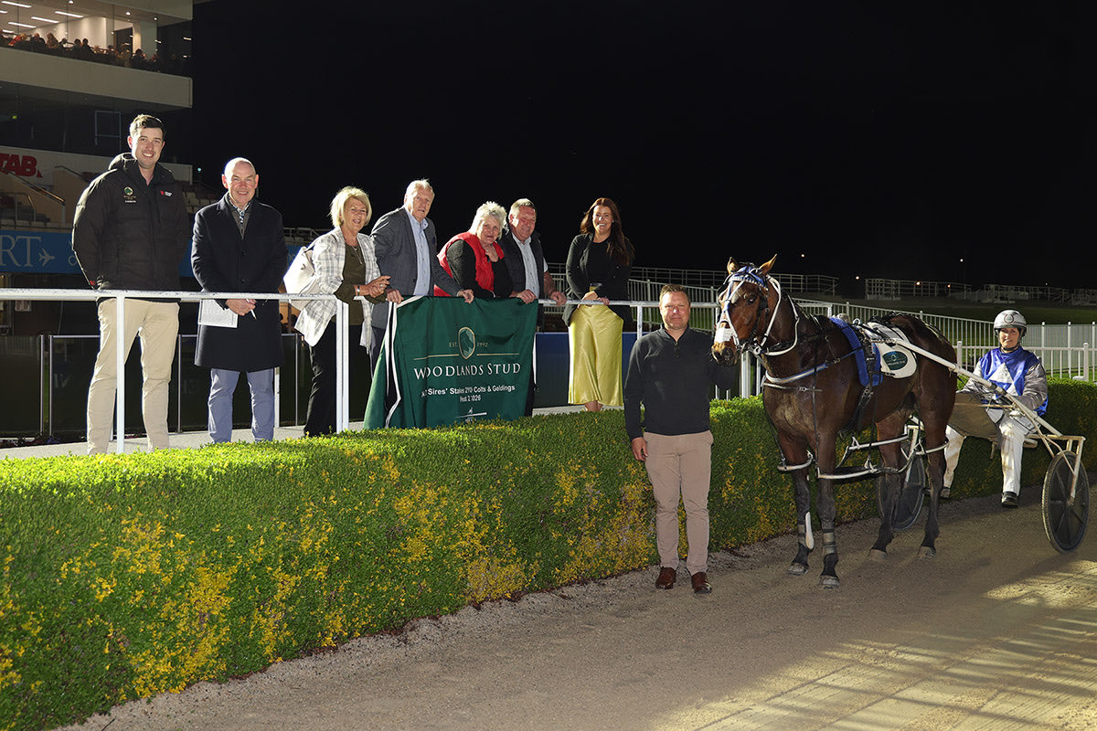 NZSiresStakes's tweet photo. @TracksideNZ @AddingtonNZ @HarnessRacingNZ @WoodlandsStudNZ The superlatives are following for this super colt who claims Captain’s Mistress as a sister &amp; Merlin a 1/2 brother. All roads lead to @AddingtonNZ on Go Media NZ Cup Day for the Group One @WoodlandsStudNZ Sires’ Stakes 2YO C &amp; G Final. BAMM BAMM 💥 what a race this will be 🤩 https://t.co/rmLHwVxzzb