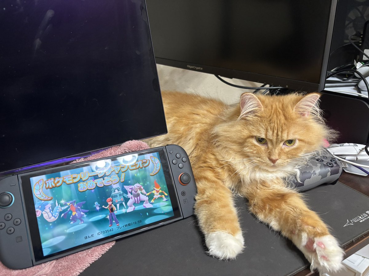 ju47t's tweet photo. ポケモンシャイニングパール楽しかった
たこにゲームで負ける気がしない。 https://t.co/LgaDx75mLZ