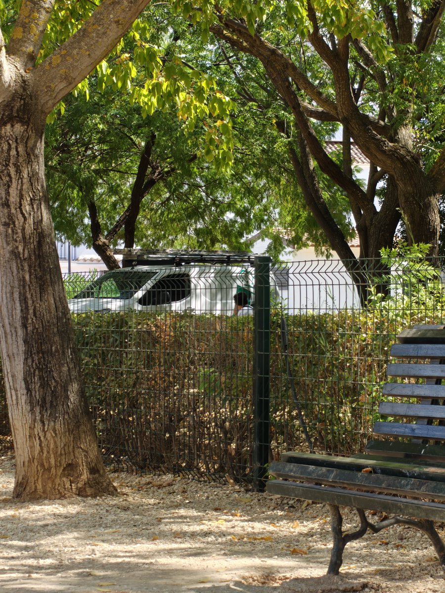 Segrodman's tweet photo. Lo de meter el coche dentro del parque para tomarse unas cervecitas a escondidas con el colega está de puta madre. Eso no estropea el parque.

Luego me echan a mi por tener a la perra suelta. https://t.co/of2DjuUmJq