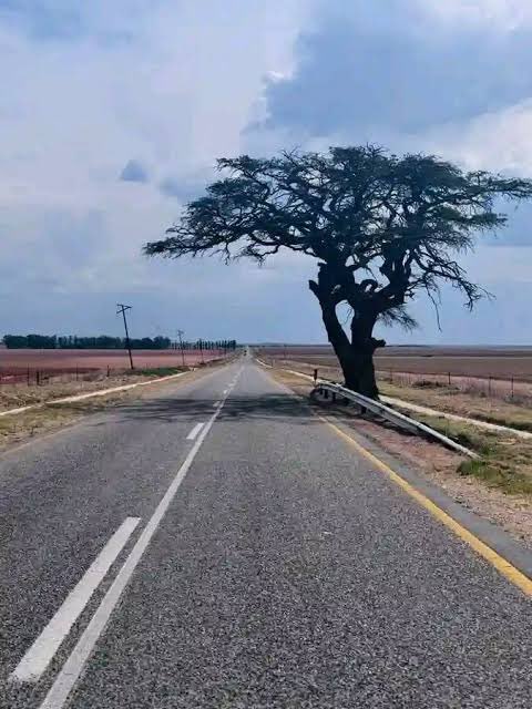 padrecktlali's tweet photo. @BenicaTheFarmer @FNBSA Even in Mafikeng vryburg road https://t.co/gyirDLXK3y