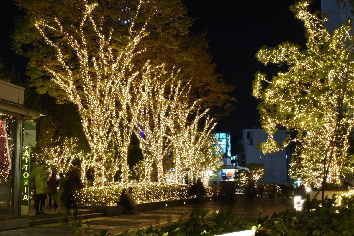 MikeyShu's tweet photo. อีกที่ ที่เปิดไฟได้สวยใยช่วงปลายปีคือ Shinjuku Minamillumi Shinjuku

สถานที่คือ  Southern Terrace ตั้งอยู่ทาง ประตูทางออกทิศใต้ (South Exit / New South Gate) ของสถานีรถไฟ JR Shinjuku

เป็นทางเดินลอยฟ้าความยาวประมาณ 350 เมตร เชื่อมต่อระหว่างสถานีชินจูกุ อาคาร Odakyu Southern Tower และห้าง Takashimaya Times Square 

เริ่มประดับไฟตอนช่วง กลางเดือนพฤศจิกายน ถึง วันวาเลนไทน์ ของปีถัดไป

เวลาเปิดไฟ 17:00 – 24:00 น
เดือนธันวาคม เปิด 16:30 น.
