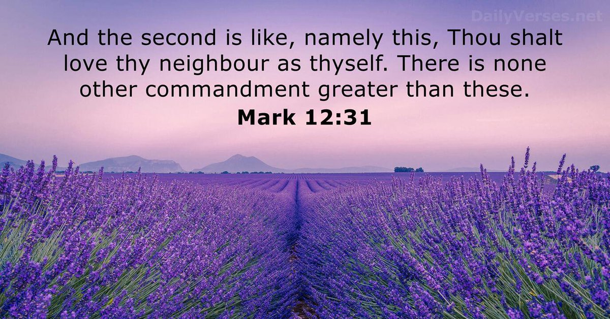 RichieSwift78's tweet photo. You know I don't think Jesus could of said it any better. https://t.co/JKfjYOLFoB